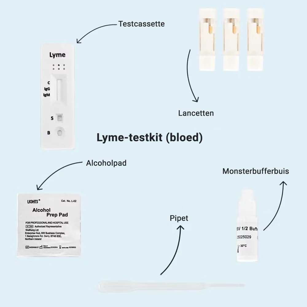 hero swiper big card